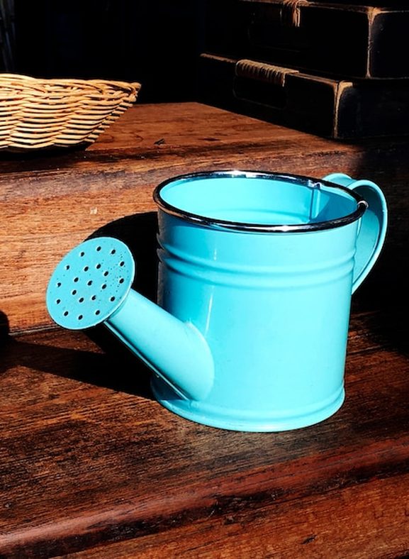 Regador de bico fino molhando um bonsai com água escorrendo pelos furos do vaso